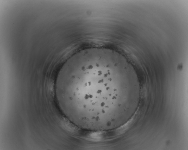 X0000096720178200802121256