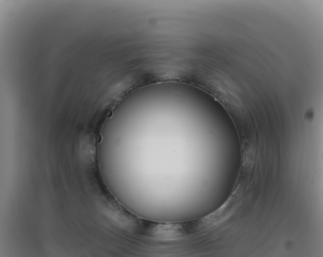 X0000096720179200802121256