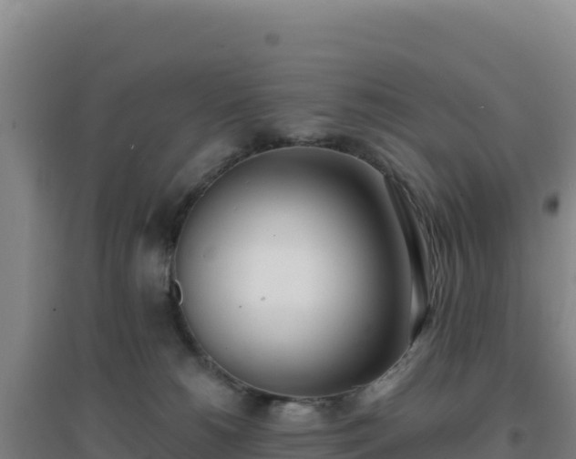 X0000096720180200802121256