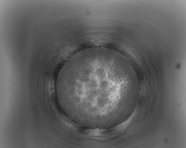 X0000096720182200802121256