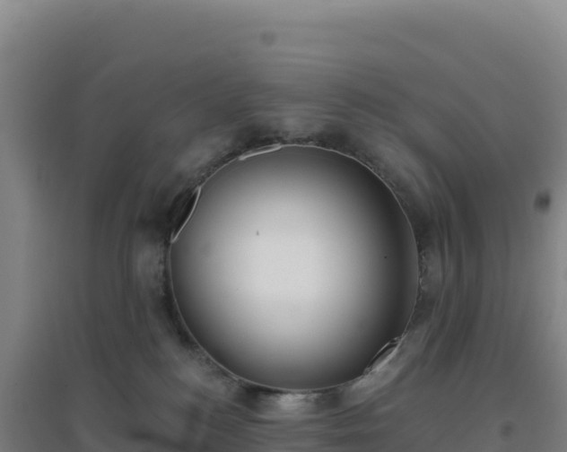 X0000096720184200802121256