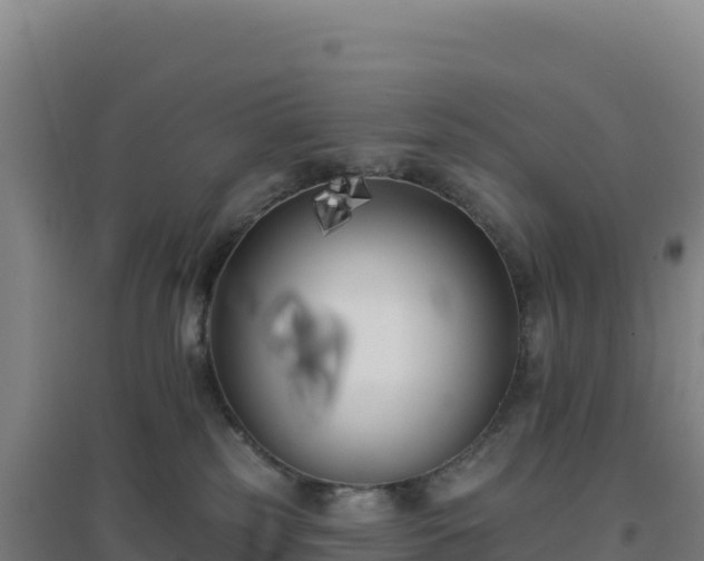 X0000096720185200802121256