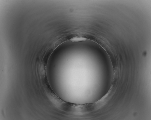 X0000096720186200802121256