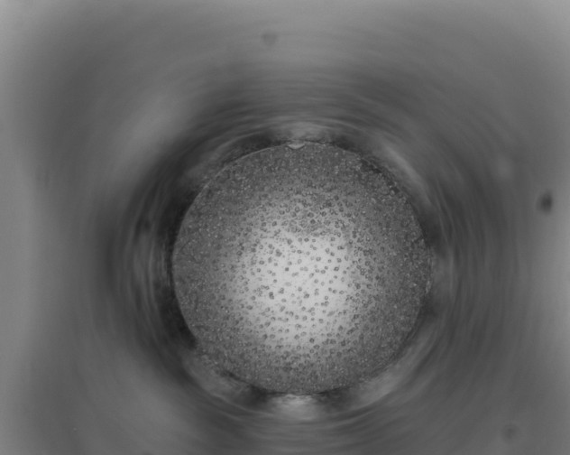 X0000096720189200802121256