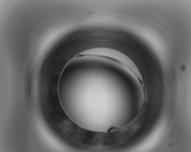 X0000096720190200802121256