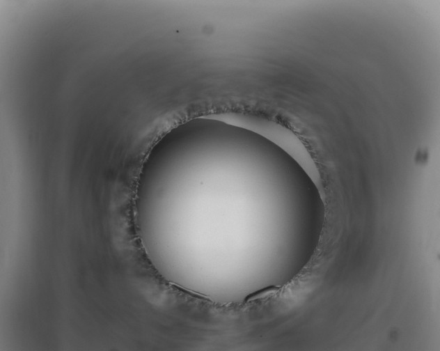 X0000096720192200802121256