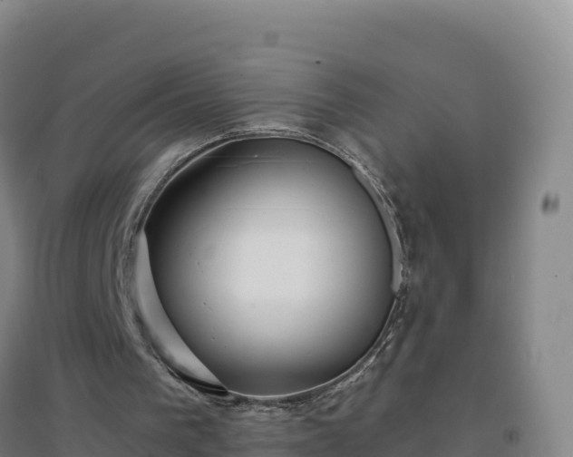 X0000096720193200802121256