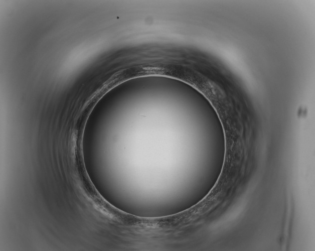 X0000096720194200802121256