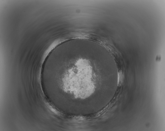 X0000096720195200802121256