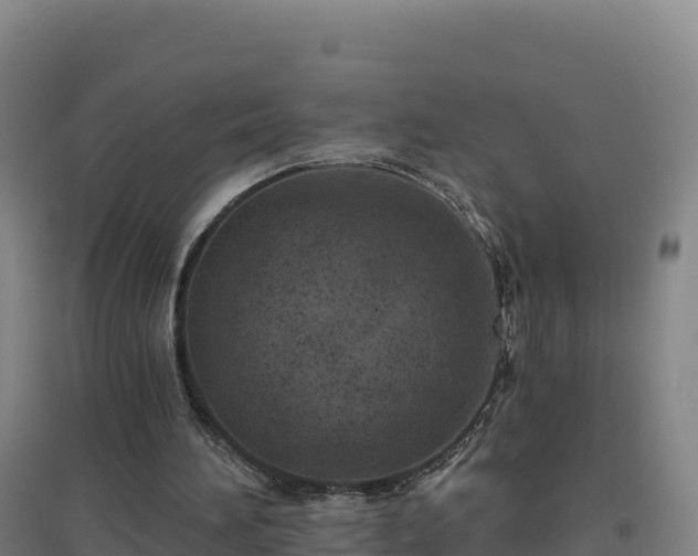 X0000096720196200802121256