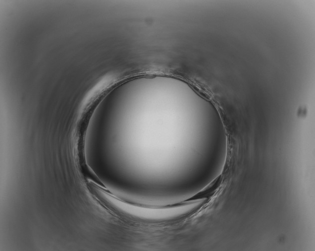 X0000096720197200802121256