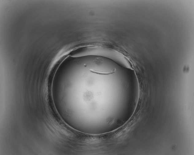 X0000096720198200802121256