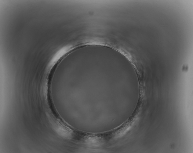 X0000096720199200802121256