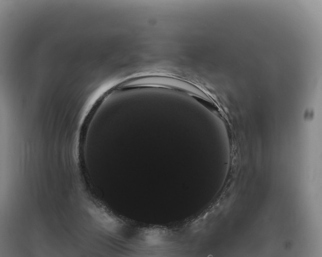 X0000096720200200802121256