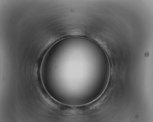 X0000096720201200802121256