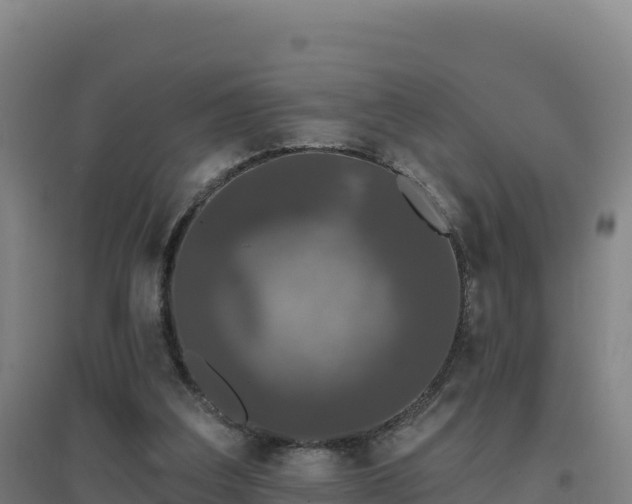 X0000096720203200802121256