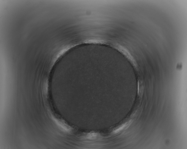 X0000096720204200802121256