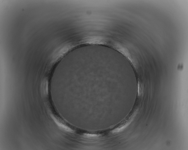 X0000096720205200802121256