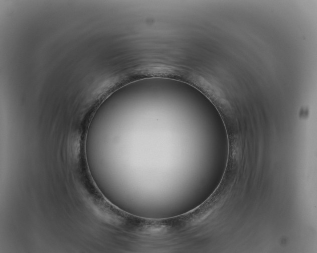 X0000096720206200802121256