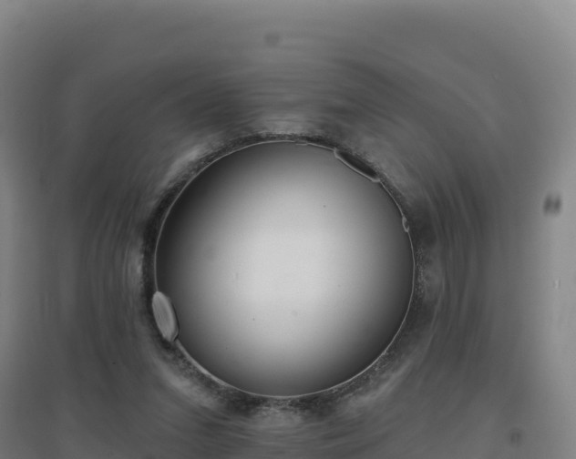 X0000096720207200802121256