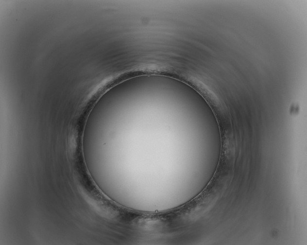 X0000096720208200802121256