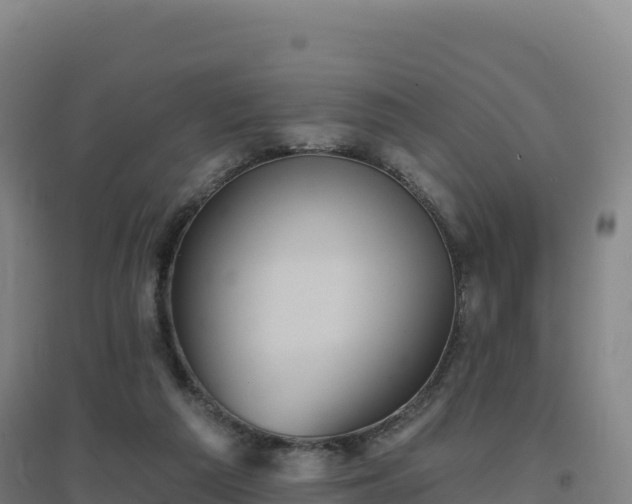 X0000096720209200802121256