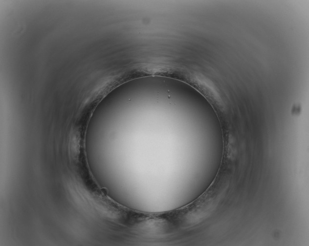 X0000096720210200802121256