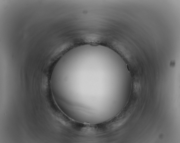 X0000096720211200802121256