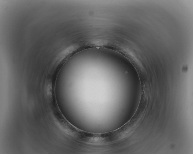 X0000096720212200802121256