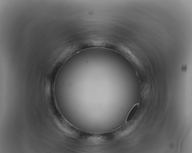 X0000096720213200802121256