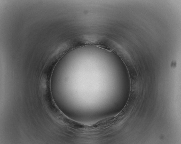 X0000096720215200802121255