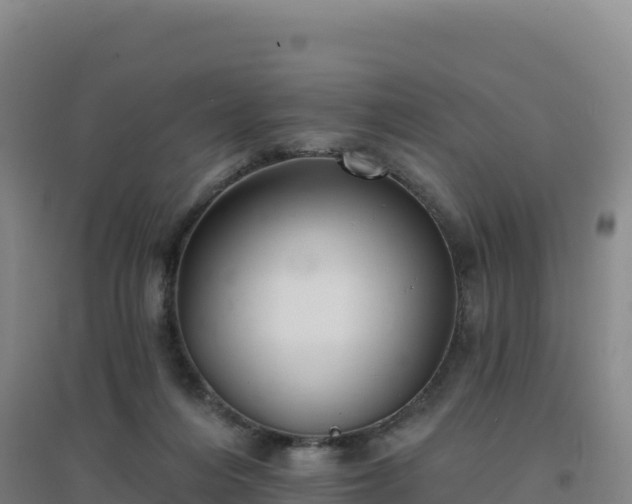 X0000096720216200802121255