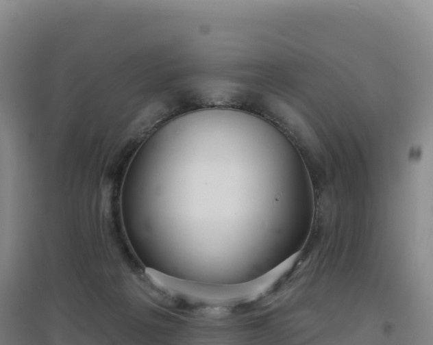 X0000096720217200802121255