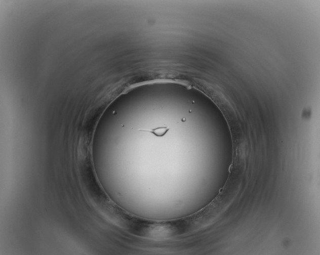 X0000096720218200802121255