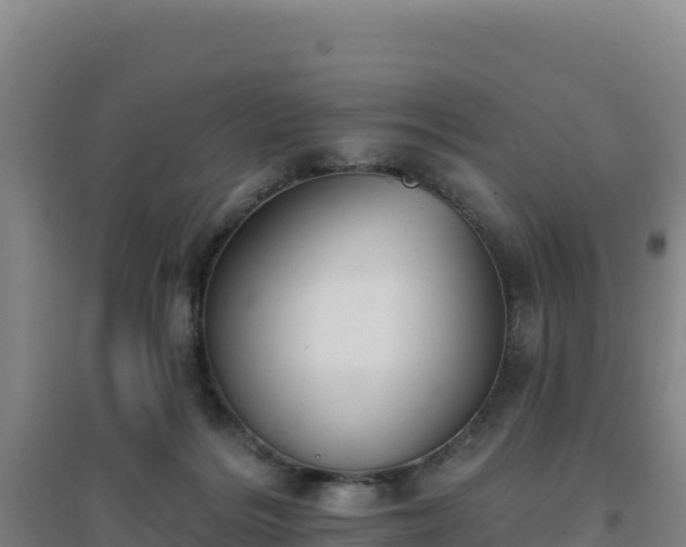 X0000096720220200802121255