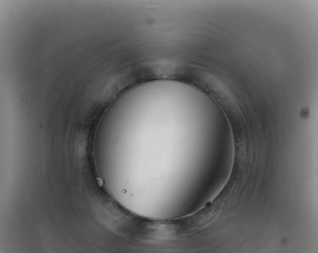 X0000096720221200802121255