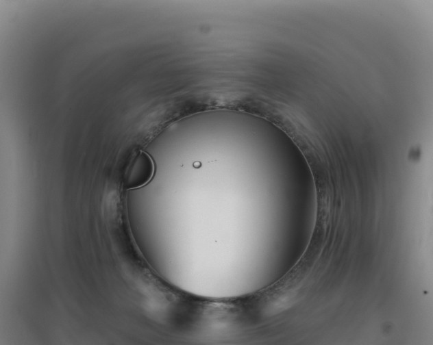 X0000096720222200802121255