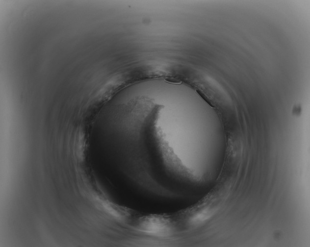 X0000096720223200802121255