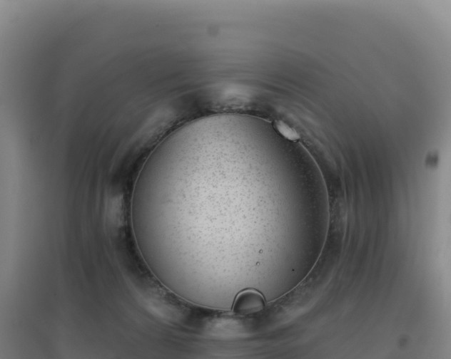 X0000096720224200802121255