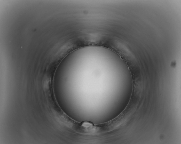 X0000096720225200802121255