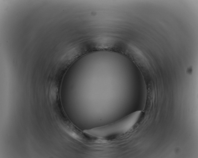 X0000096720227200802121255