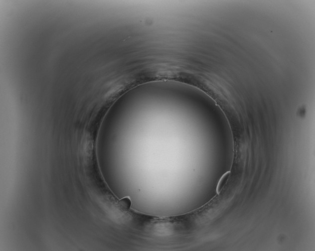 X0000096720228200802121255