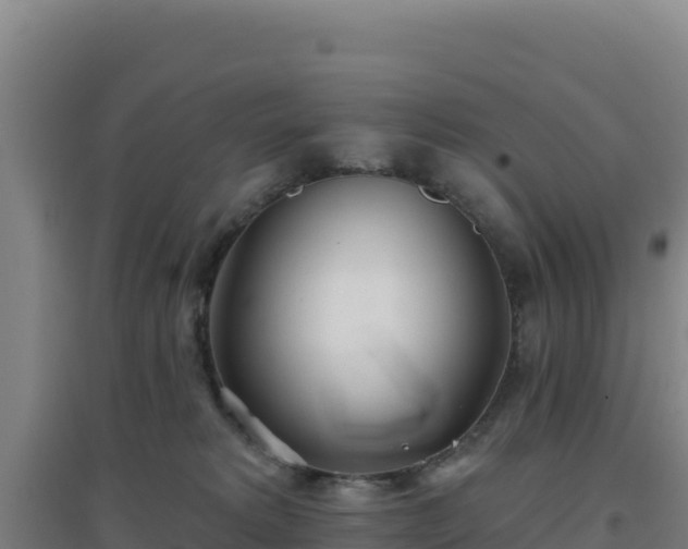 X0000096720229200802121255