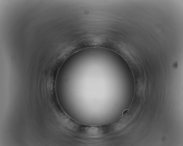 X0000096720230200802121255