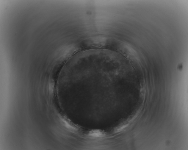 X0000096720231200802121255