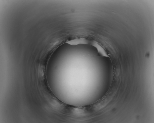 X0000096720232200802121255