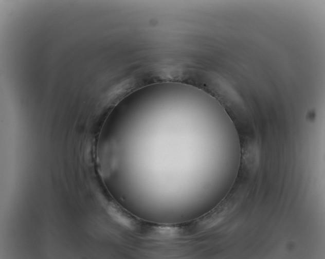 X0000096720233200802121255