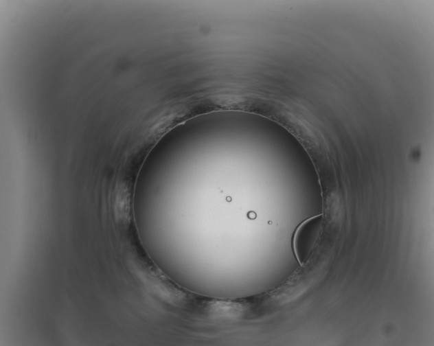 X0000096720234200802121255