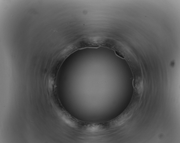 X0000096720235200802121255