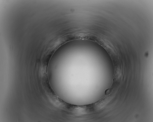 X0000096720236200802121255